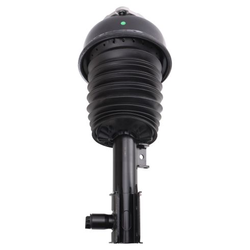 Air Strut