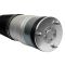 Front Air Strut Pair