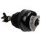 Front Air Strut Assembly Pair