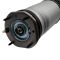 Front Air Strut Pair