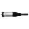 Front Air Strut Pair