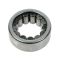 81-09 GM, Dodge, Ford Full Size Multifit (w/9.5 inch RG) Rear Axle Shaft Bearing LR = RR (Timken)