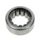 81-09 GM, Dodge, Ford Full Size Multifit (w/9.5 inch RG) Rear Axle Shaft Bearing LR = RR (Timken)