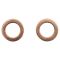 Brake Hose Pair