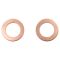 Front Replacement Brake Hose Set