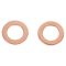 Front Replacement Brake Hose Set
