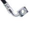 Rear Replacement Brake Hose Set