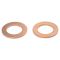 Rear Replacement Brake Hose Set