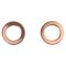 Rear Replacement Brake Hose Set