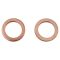 Front & Rear Performance Brake Hose Set