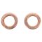 Front & Rear Replacement Brake Hose Set