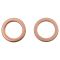 Front & Rear Replacement Brake Hose Set