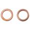 Front & Rear Replacement Brake Hose Set