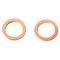 Front & Rear Replacement Brake Hose Set