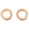 Front & Rear Replacement Brake Hose Set