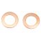 Front & Rear Replacement Brake Hose Set