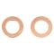 Front & Rear Replacement Brake Hose Set