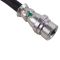 Front & Rear Replacement Brake Hose Set