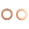 Front & Rear Replacement Brake Hose Set