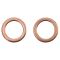 Front & Rear Replacement Brake Hose Set