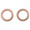Front & Rear Replacement Brake Hose Set