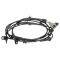 ABS Wheel Speed Sensor Set of 2 - Delphi