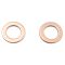 07-14 GM FS 1500 SUV Rear Disc Brake Hose PAIR (Raybestos)