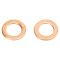 Front Caliper Set with Hoses