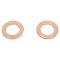 Front Caliper Set with Hoses
