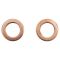 Front Caliper Set with Hoses