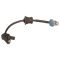 ABS Wheel Speed Sensor - Delphi