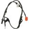 ABS Wheel Speed Sensor - Delphi