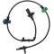 ABS Wheel Speed Sensor - Delphi