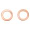 Rear Ceramic Brake Kit with Calipers