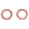 Brake Pad, Rotor, Caliper & Hose kit