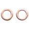 Brake Pad, Rotor, Caliper & Hose kit