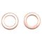 Brake Pad, Rotor, Caliper & Hose kit
