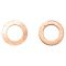 Brake Pad, Rotor, Caliper & Hose kit