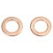 Brake Pad, Rotor, Caliper & Hose kit