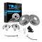 Brake Pad & Rotor Kit
