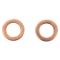 Front Rotor, Pad Calliper & Hose Kit