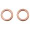 Front Rotor, Pad Calliper & Hose Kit