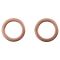 Front Rotor, Pad Calliper & Hose Kit