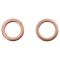 Front Rotor, Pad Calliper & Hose Kit
