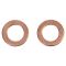 Rear Performance Rotor, Pad, Caliper & Hose Kit