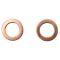 Rear Performance Rotor, Pad, Caliper & Hose Kit