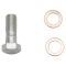 Rear Performance Rotor, Pad, Caliper & Hose Kit
