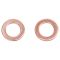 Rear Performance Rotor, Pad, Caliper & Hose Kit
