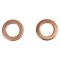 Rear Performance Rotor, Pad, Caliper & Hose Kit