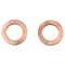 Rear Performance Rotor, Pad, Caliper & Hose Kit